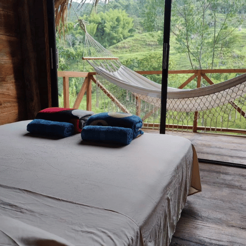 ayahuasca