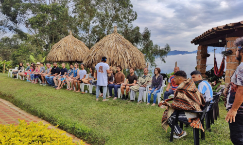 ayahuasca